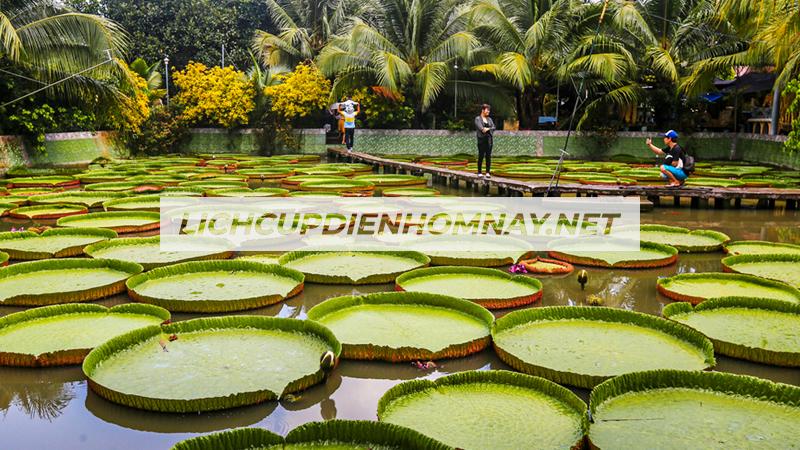 Nhu cầu sử dụng điện ở Đồng Tháp